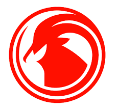 TAAG Angola Airlines